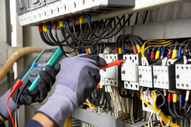 Best Electrical Remodeling Services  in Woodlawn Beach, FL